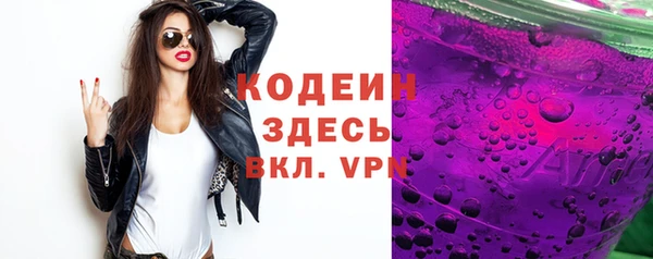 дмт Корсаков