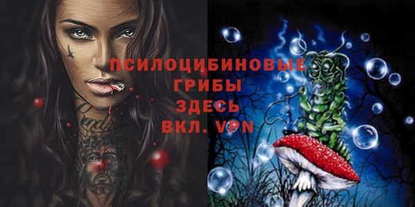 дмт Корсаков