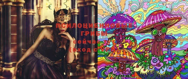 дмт Корсаков