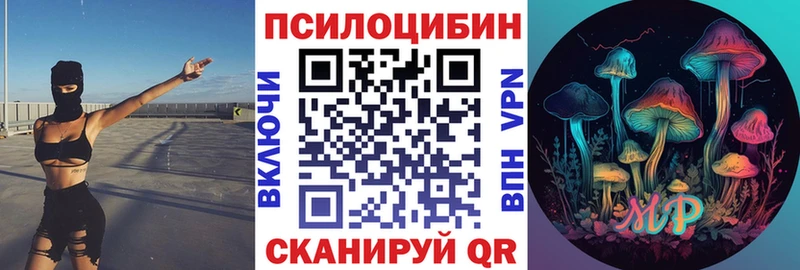 Псилоцибиновые грибы Psilocybe Чердынь