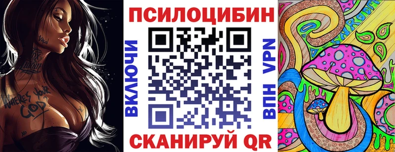Галлюциногенные грибы Psilocybine cubensis  блэк спрут ссылки  Чердынь 